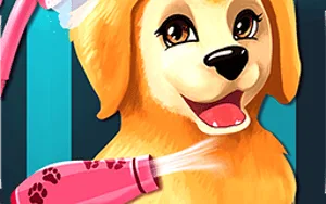 Become a Puppy Groomer: Mastering Tips for the Unblock Game